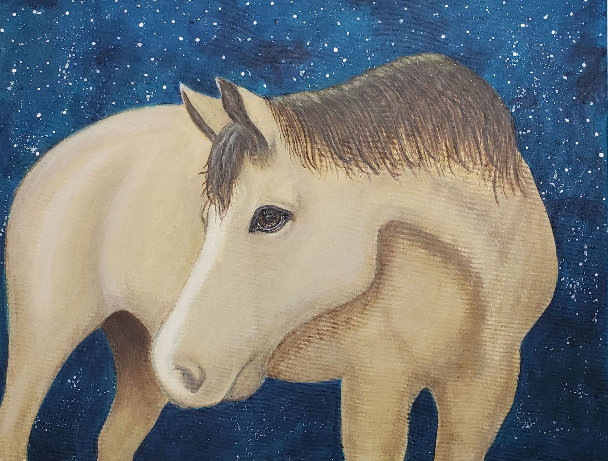 Night Sky Horse by Sonya Myers